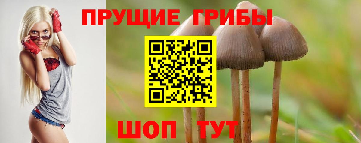 Псилоцибиновые грибы MAGIC MUSHROOMS Брянск